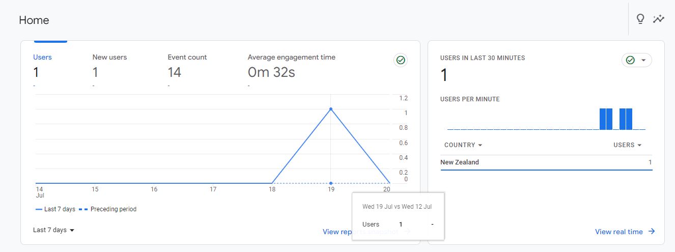 Google Analytic Data